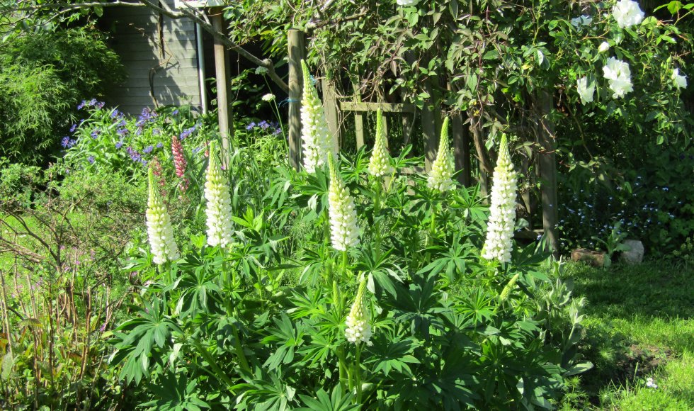 Herent Ecotuin van de familie Verschueren 6