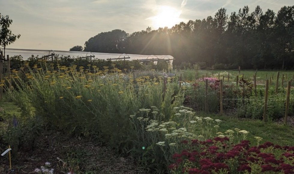 Herzele De Daalkouter fruitboerderij 3