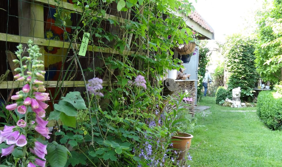 Hingene_Wielhof_Cis Peeters