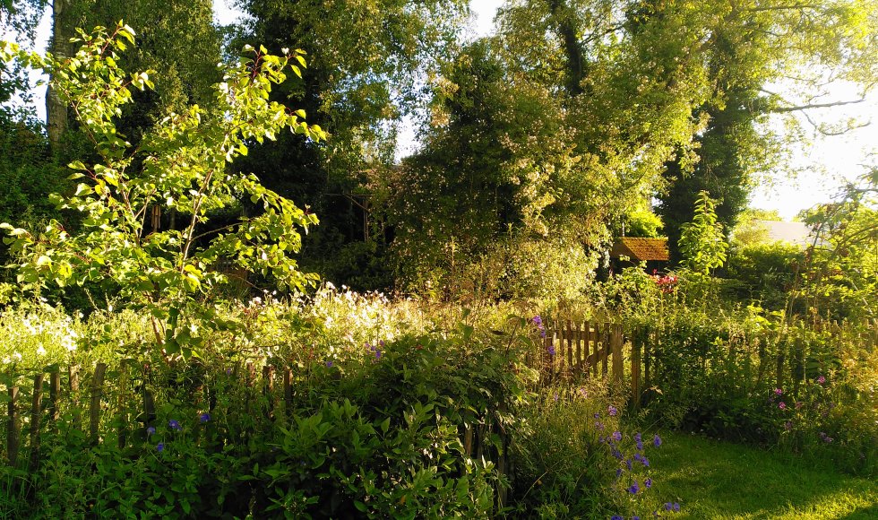 Hoeilaart Blijde Regentuin 1