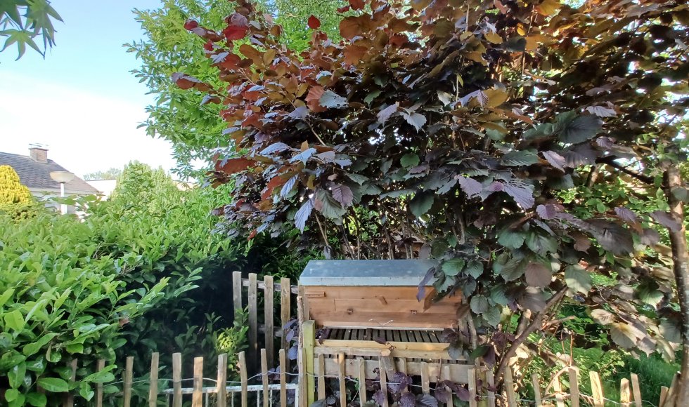 Hoeilaart Blijde regentuin 2