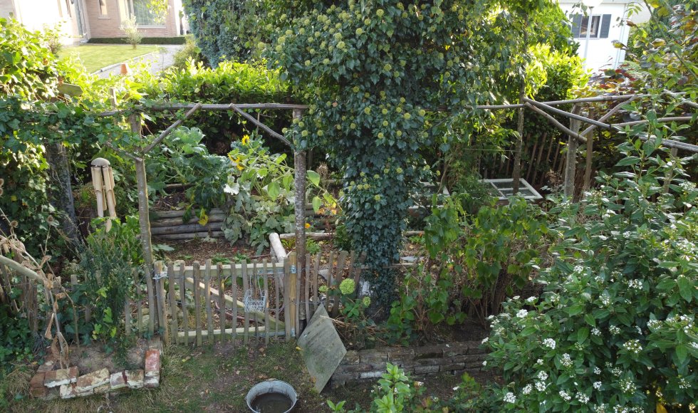 Hoeilaart Blijde regentuin 3