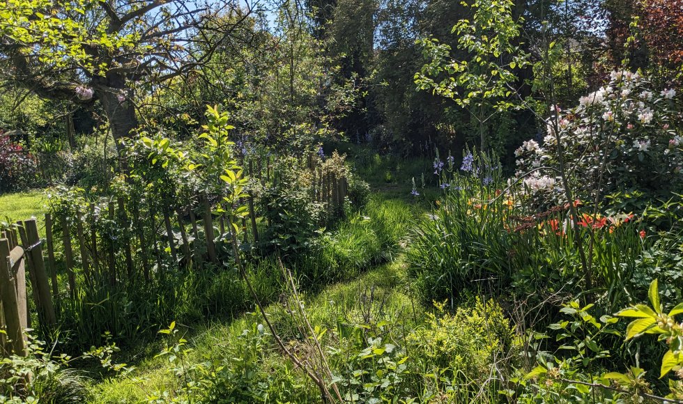 Hoeilaart Blijde regentuin 7