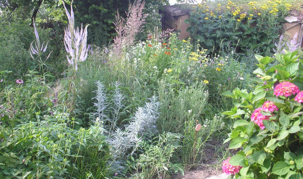 Tuin der wonderen