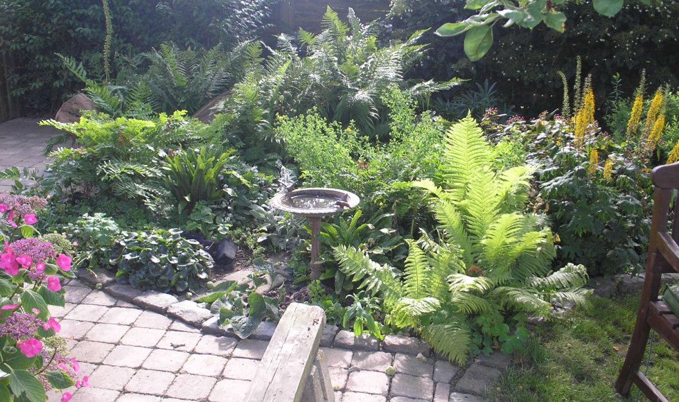 Tuin der wonderen