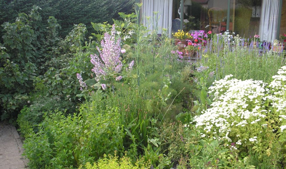 Tuin der wonderen