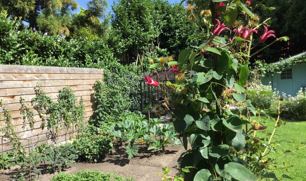 HoogeZwaluwe_raadhuisstraat_Blonk_1