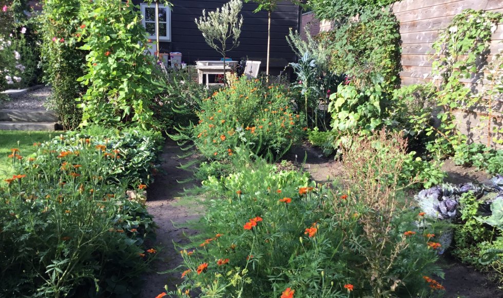 HoogeZwaluwe_raadhuisstraat_Blonk_3