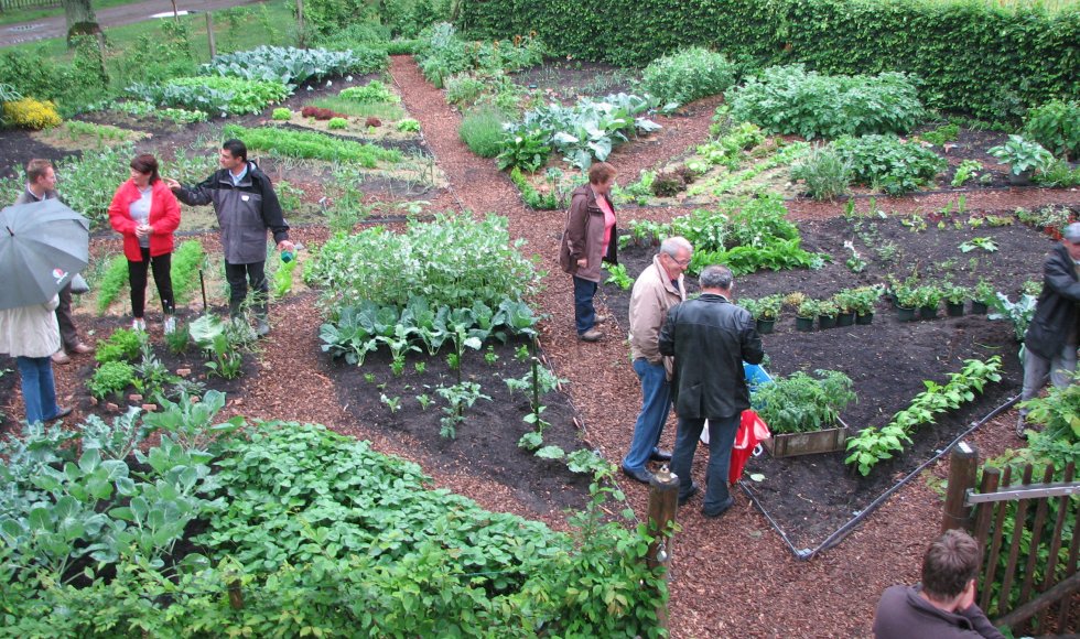 Volkstuintjes Hengelhoef