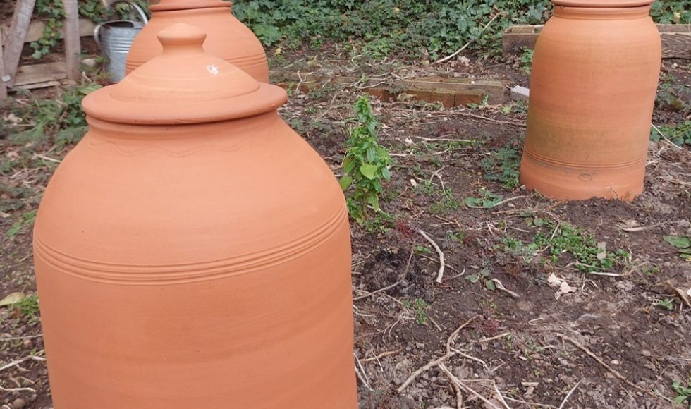 Hulste Tuin Lize en Steven 1