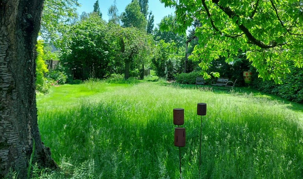 Hulste Tuin Lize en Steven 3