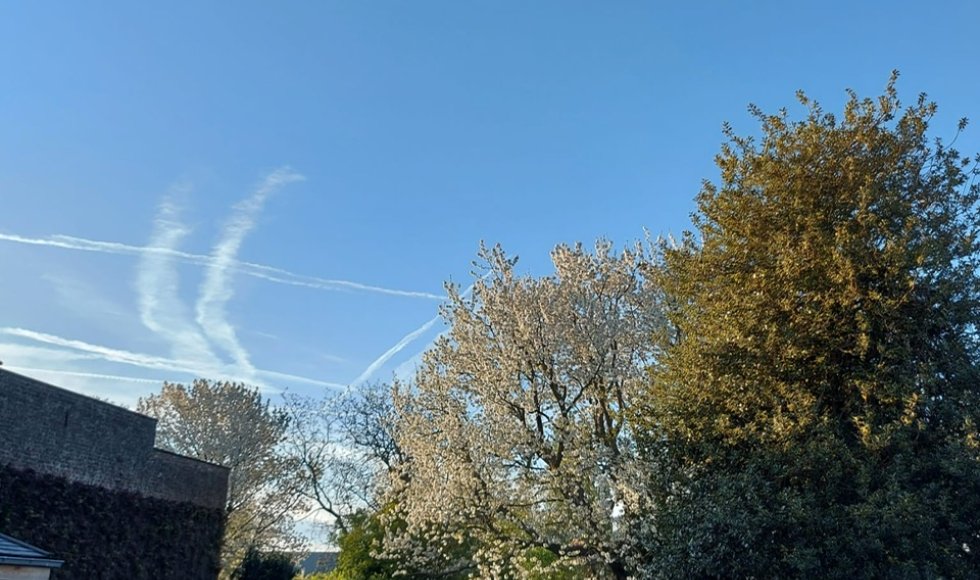 Hulste Tuin Lize en Steven 6