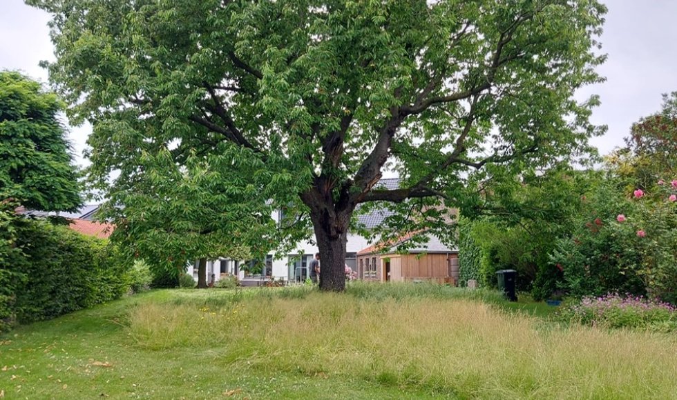 Hulste Tuin Lize en Steven 9