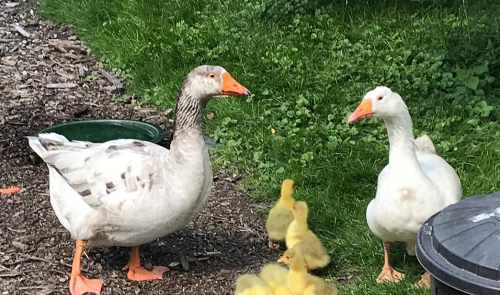 het verborgen paradijs van Marie Christien