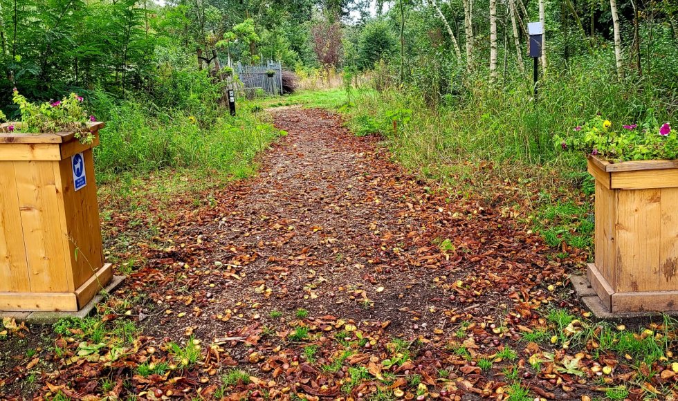voedselbos patersveld