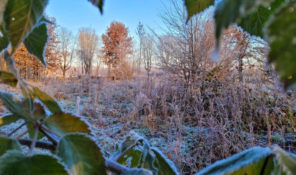 voedselbos patersveld