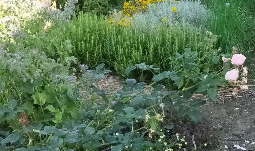 Kruiderij Hof van Eden