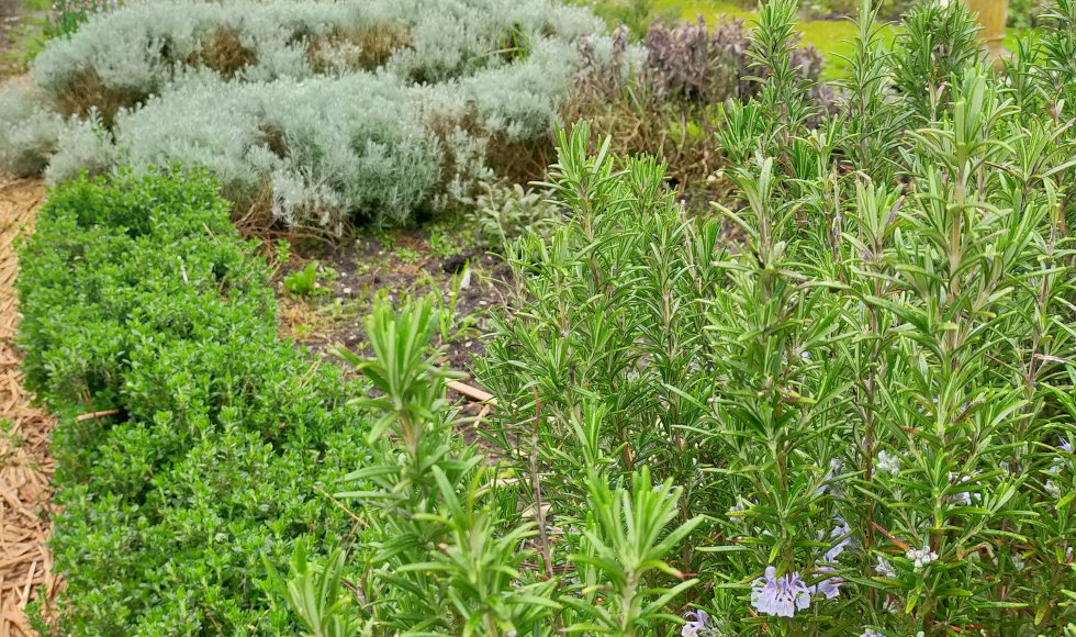 Kruiderij Hof van Eden