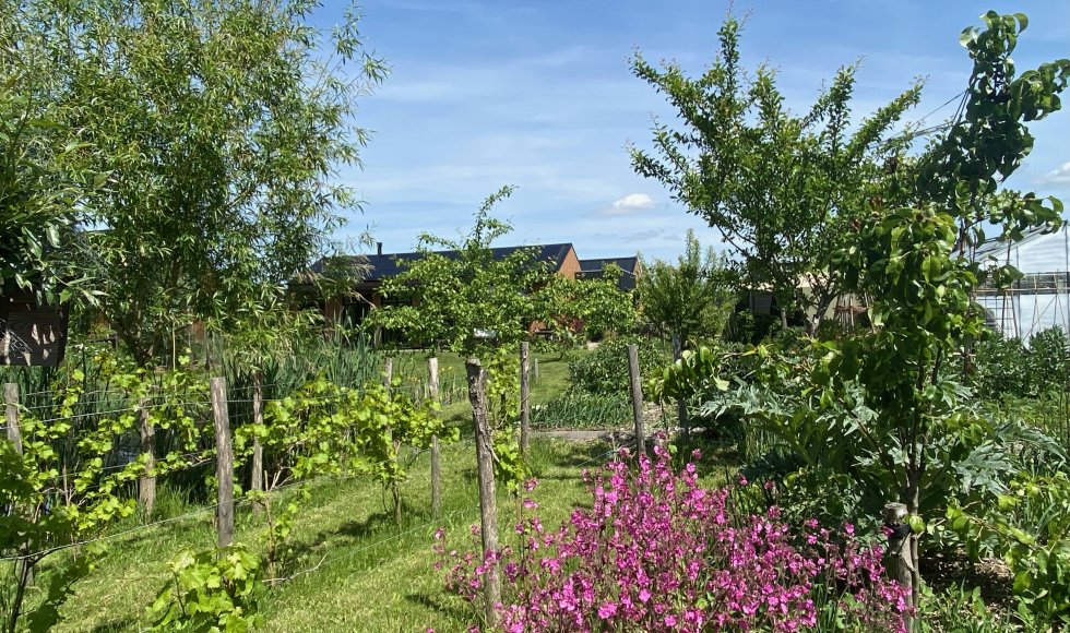 ecotuin van Anne-Marie en Walter