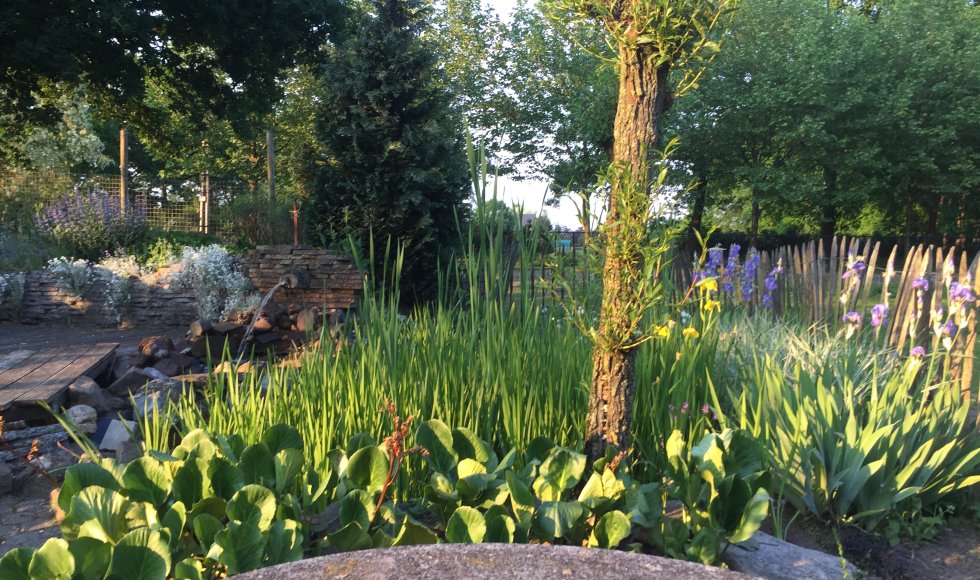 Arendonk De Egelantier 4