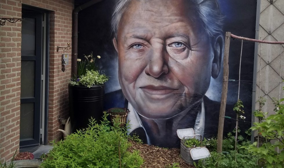 Roeselare kleurig stadstuintje 3