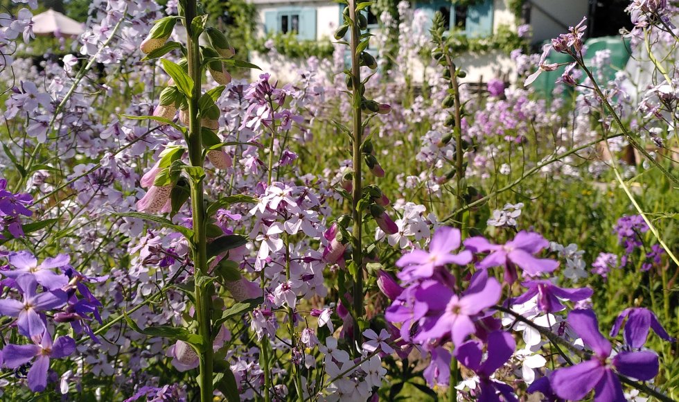 Kemzeke Pluk Je Dag 1