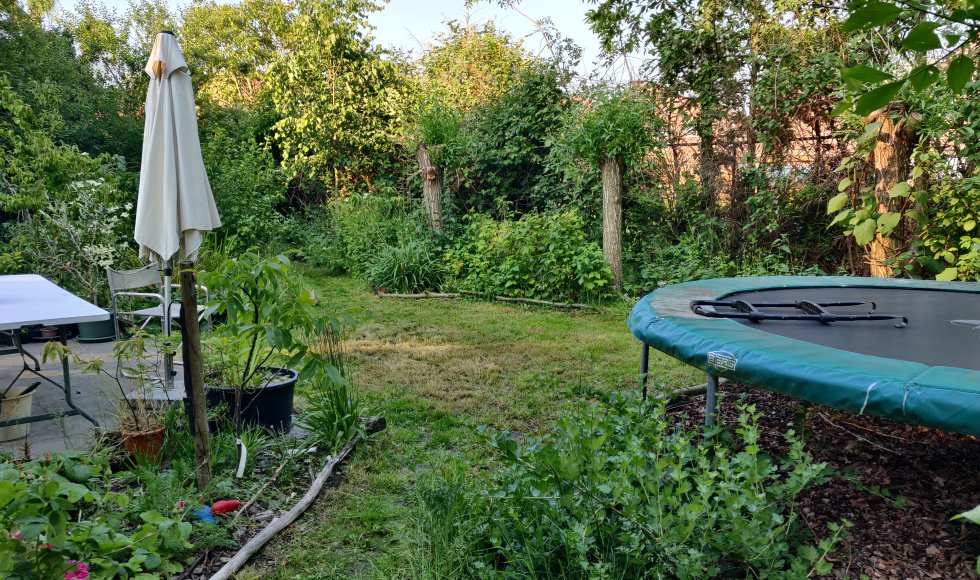 Stadstuin/voedselbos in Sint-Niklaas 4