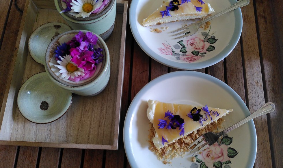 Kemzeke Pluk je Dag 3