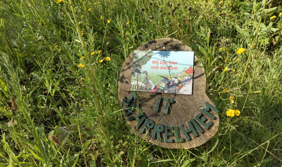 Jubbega It Skarrelhiem 6