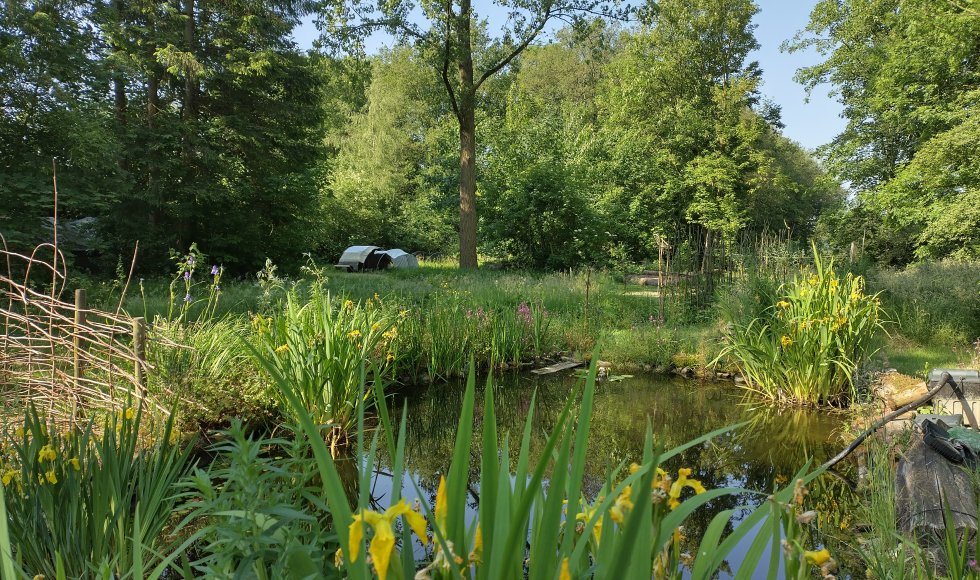 Jubbega It Skarrelhiem  8