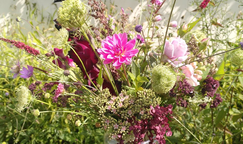 Kemzeke Pluk je Dag 4