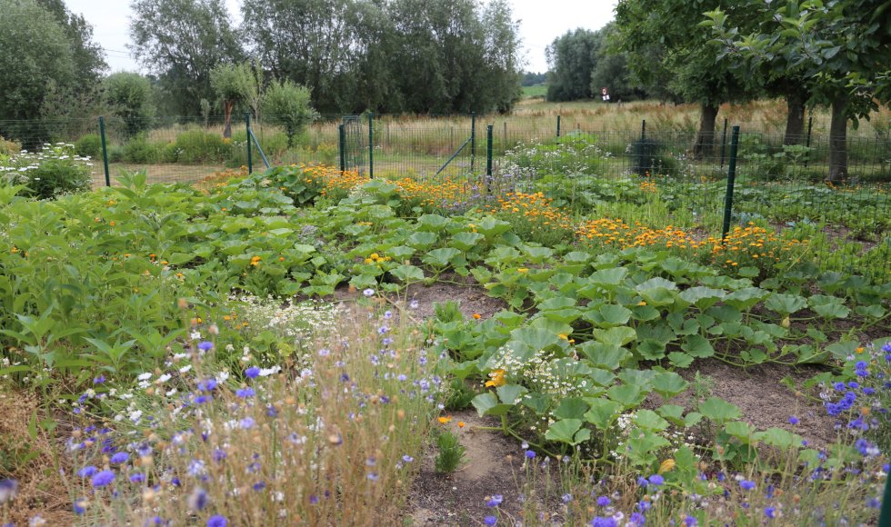 Ecotuin Luk en Krista