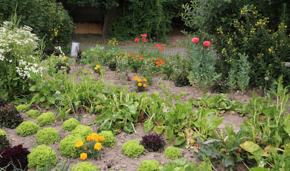 Ecotuin Luk en Krista