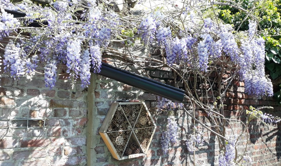 Grote Wlde Stadstuin