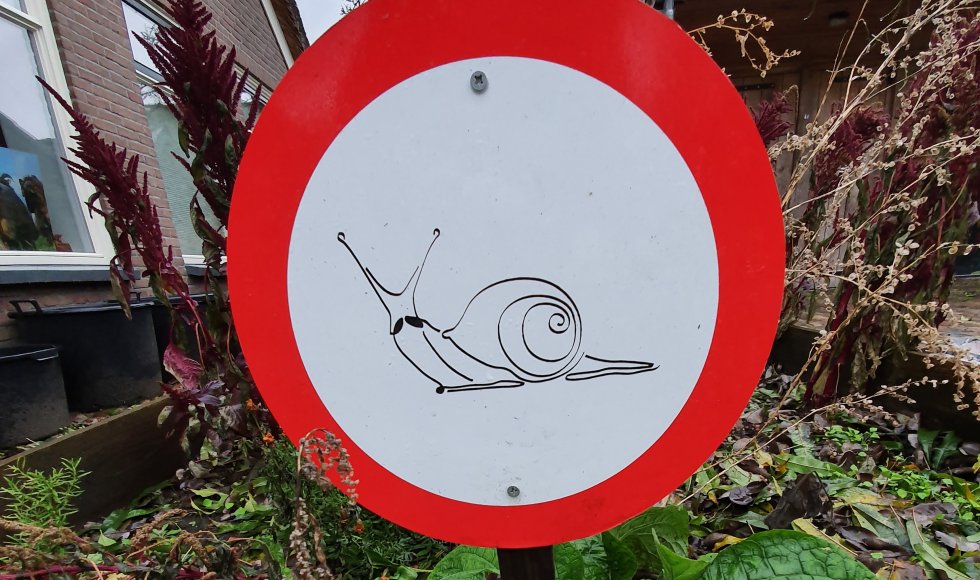 ecotuin met eetbare en vlindervriendelijke planten en bomen