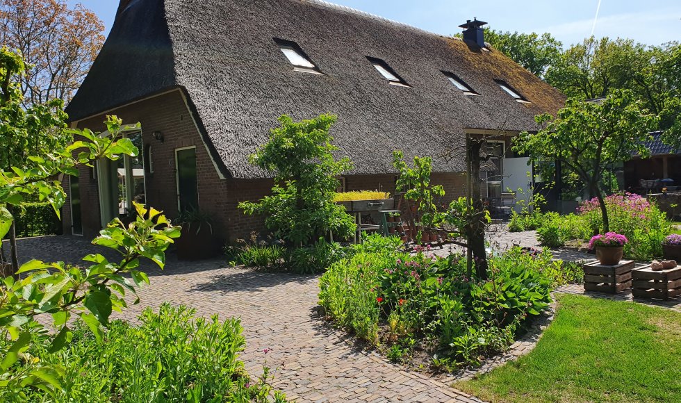 ecotuin met eetbare en vlindervriendelijke planten en bomen