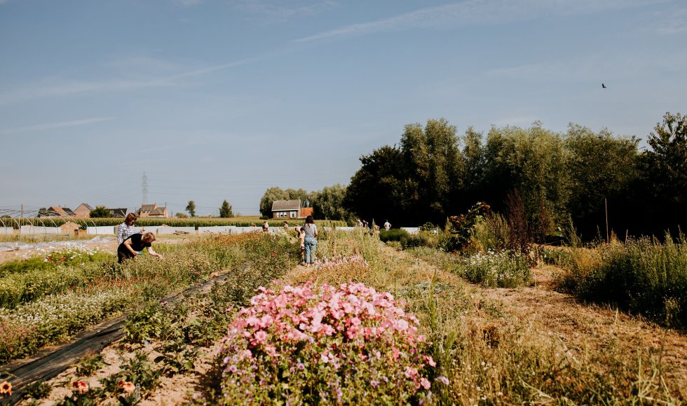 Lent - biobloemenboerderij