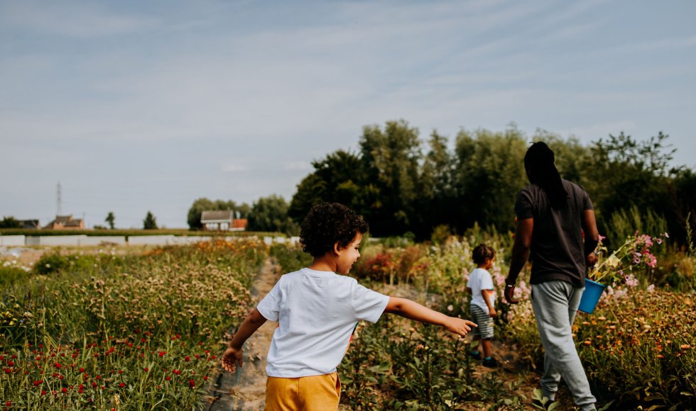 Lent - biobloemenboerderij