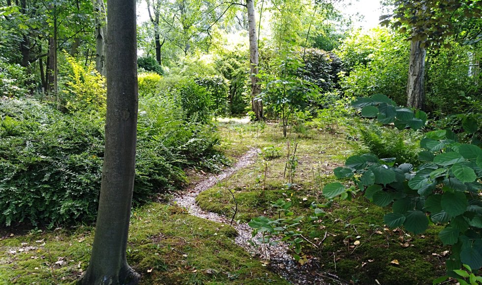 De verborgen tuin