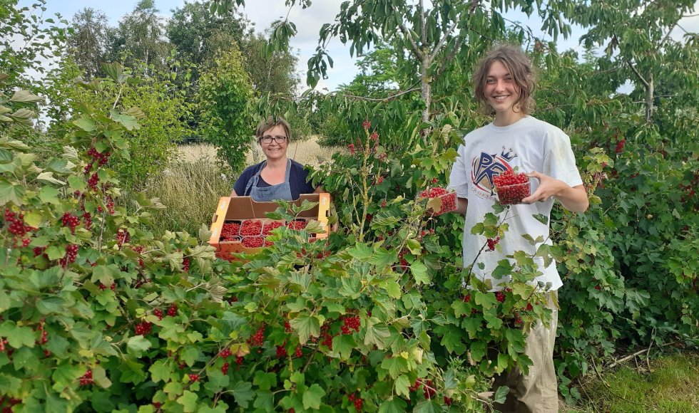 Voedselbos De Woudezel