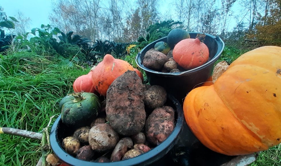 Voedselbos De Woudezel