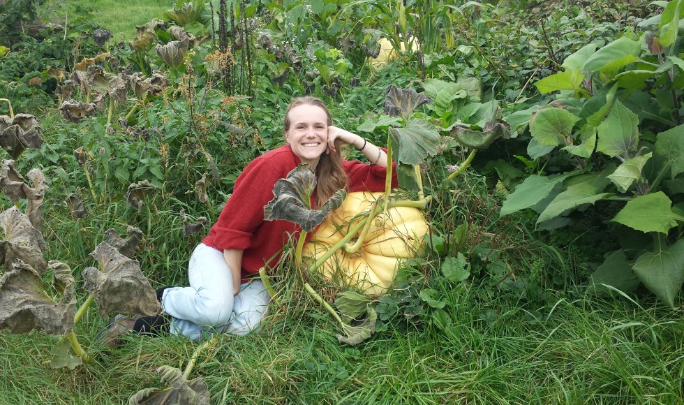 Voedselbos De Woudezel