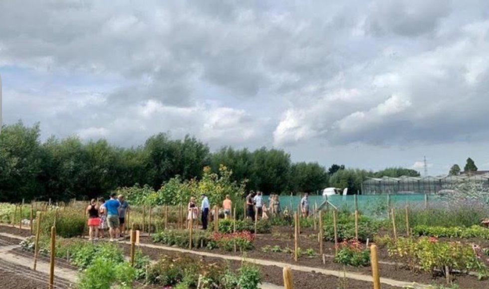 Bloementuin Rosephine