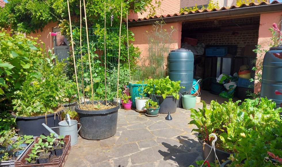 De Lindetuin van de familie Beurms-Van Stappen