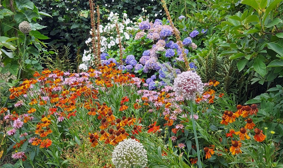 De Lindetuin van de familie Beurms-Van Stappen