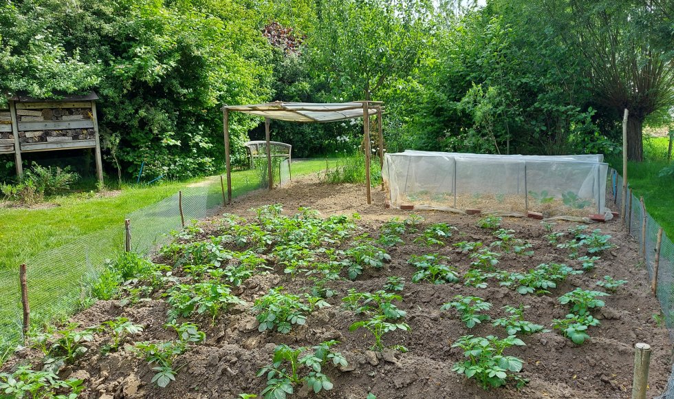 De Lindetuin van de familie Beurms-Van Stappen