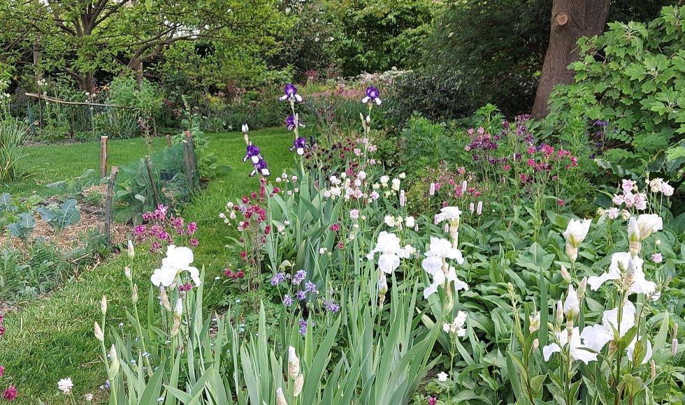 De Lindetuin van de familie Beurms-Van Stappen