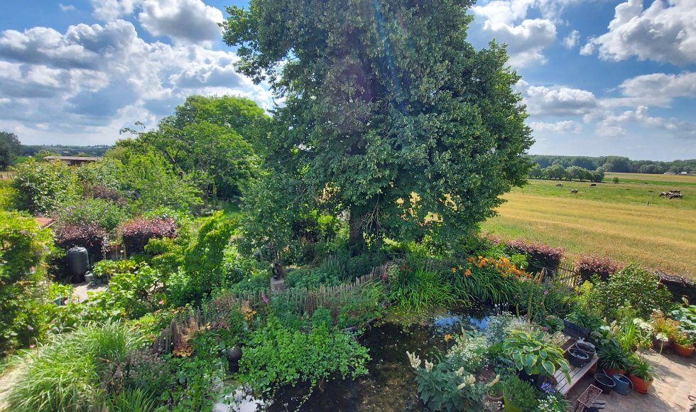 De Lindetuin van de familie Beurms-Van Stappen