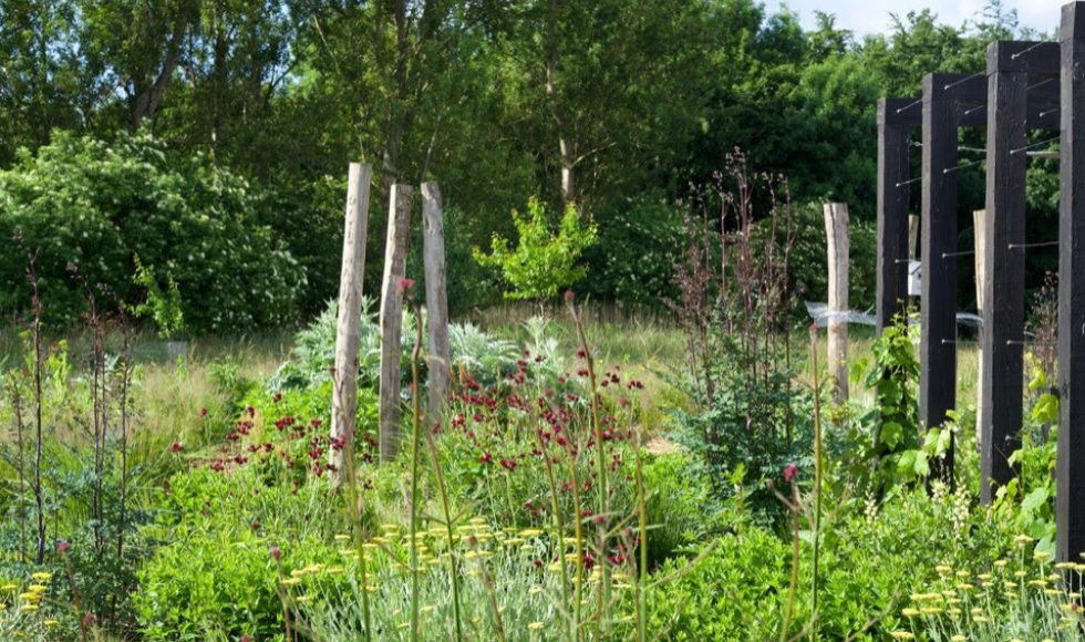 Imkerij Kirsten Bosch