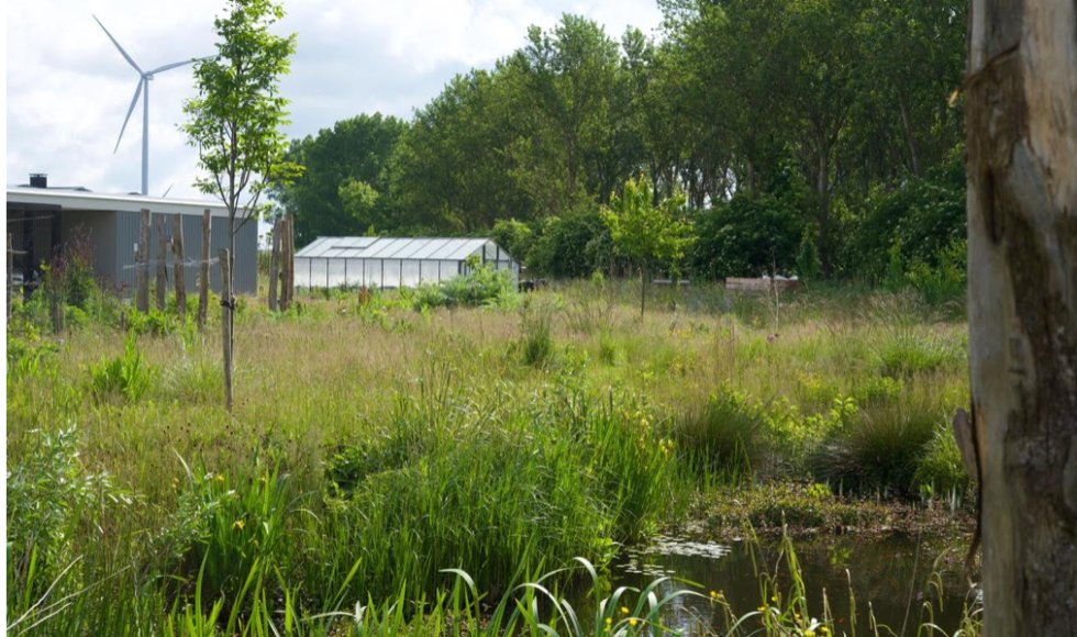 Imkerij Kirsten Bosch